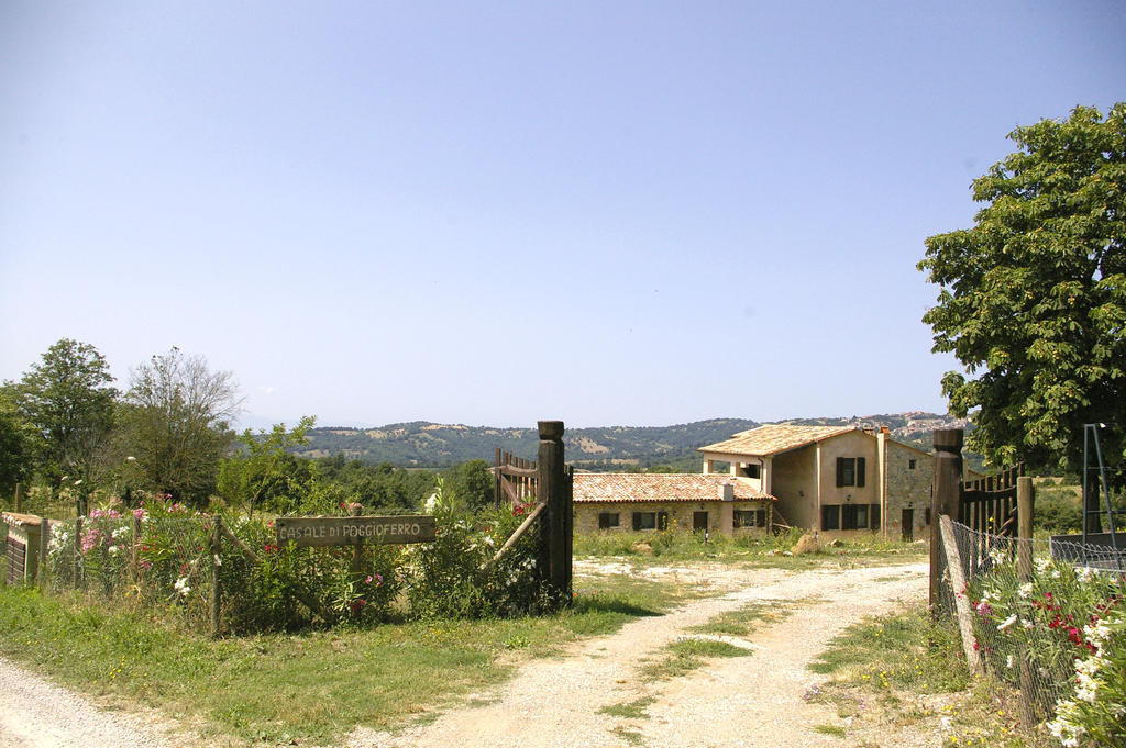 B&B Casale Di Poggioferro スカンサーノ エクステリア 写真